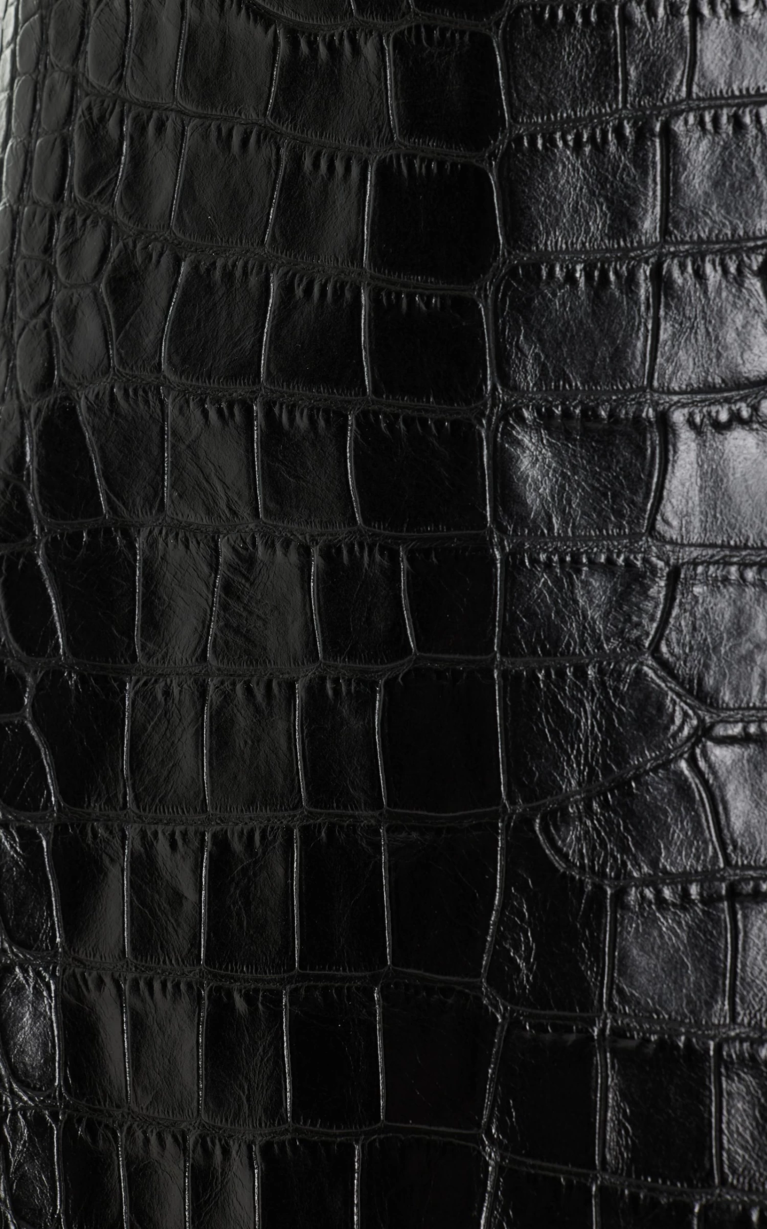 Balenciaga Croc-Effect Leather A-Line Skirt 6 Balenciaga Croc-Effect Leather A-Line Skirt - Image 4