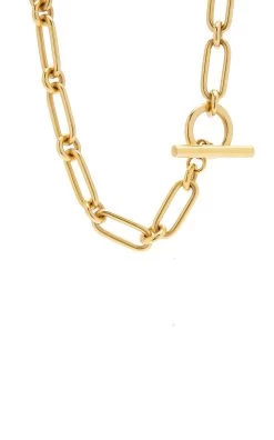24K Gold-Plated Link Necklace 7 24K Gold-Plated Link Necklace -Lady Fashion Store ben amun gold gold tone link necklace 2