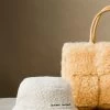 Bottega Veneta The Arco Small Shearling Tote Bag -Lady Fashion Store bottega veneta neutral arco tote shearling small