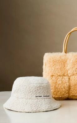 Bottega Veneta The Arco Small Shearling Tote Bag