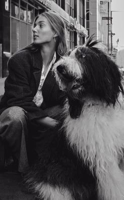 The Rebecca 18k Gold-Plated Earrings 7 The Rebecca 18k Gold-Plated Earrings -Lady Fashion Store lie studio gold the rebecca 18k gold plated earrings 2