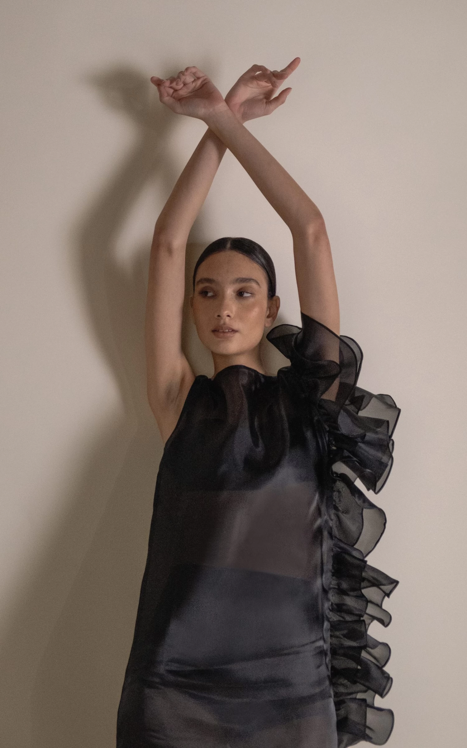 Bea Ruffled Sheer Dress 4 Bea Ruffled Sheer Dress - Image 2