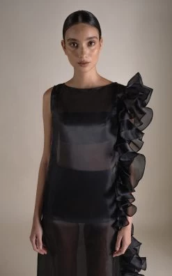 Bea Ruffled Sheer Dress