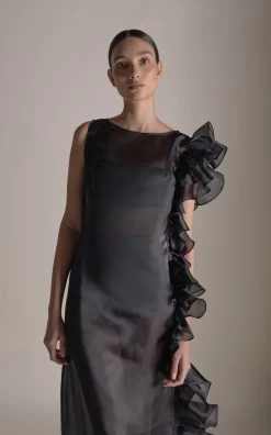 Bea Ruffled Sheer Dress 13 Bea Ruffled Sheer Dress -Lady Fashion Store marlies grace black bea ruffled sheer dress 2 4