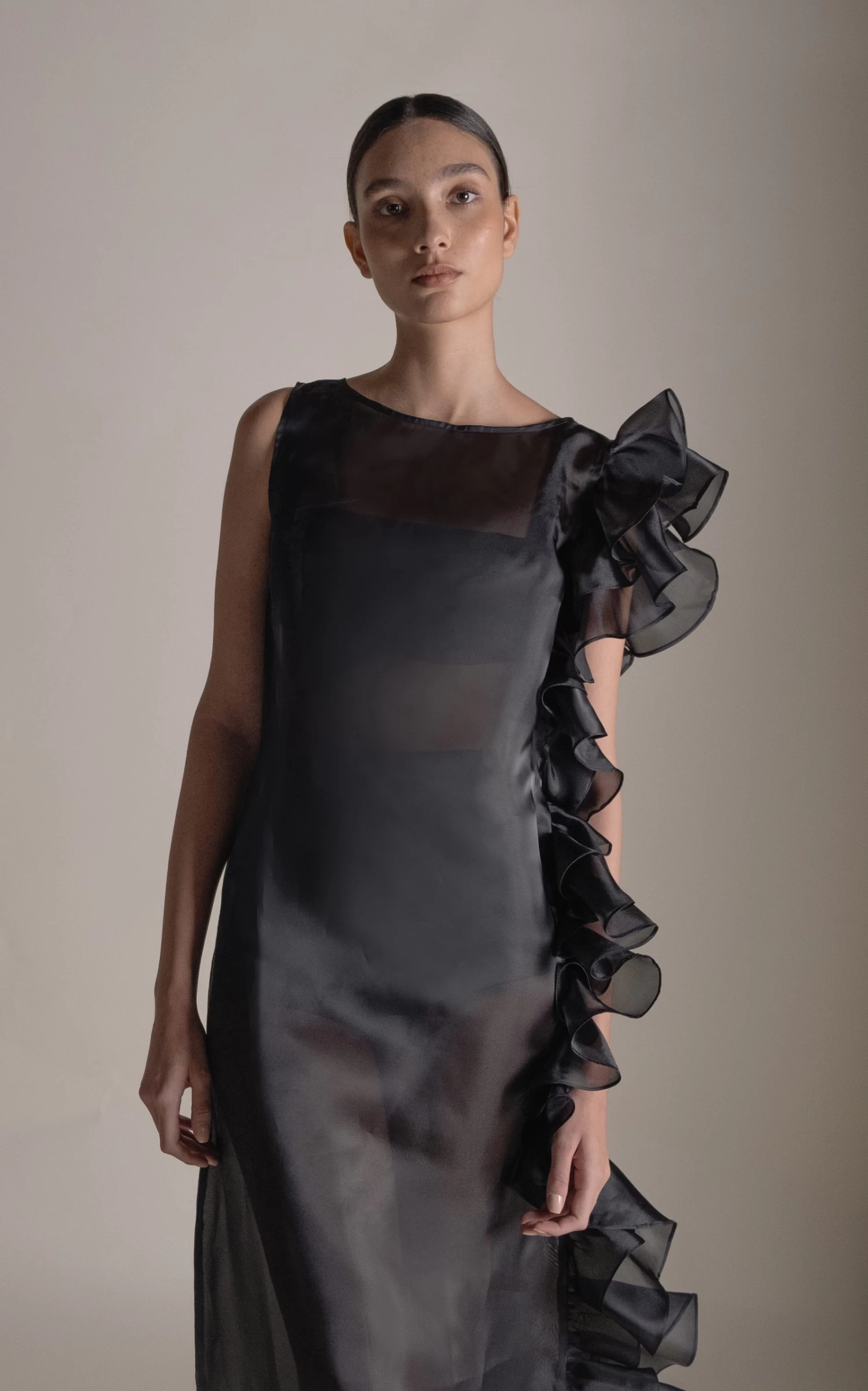 Bea Ruffled Sheer Dress 7 Bea Ruffled Sheer Dress - Image 5