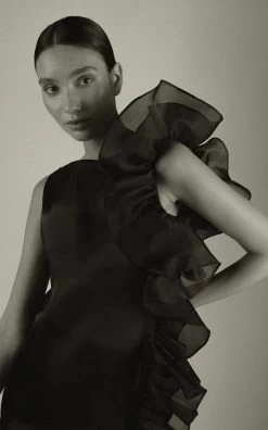 Bea Ruffled Sheer Dress 14 Bea Ruffled Sheer Dress -Lady Fashion Store marlies grace black bea ruffled sheer dress 2 5