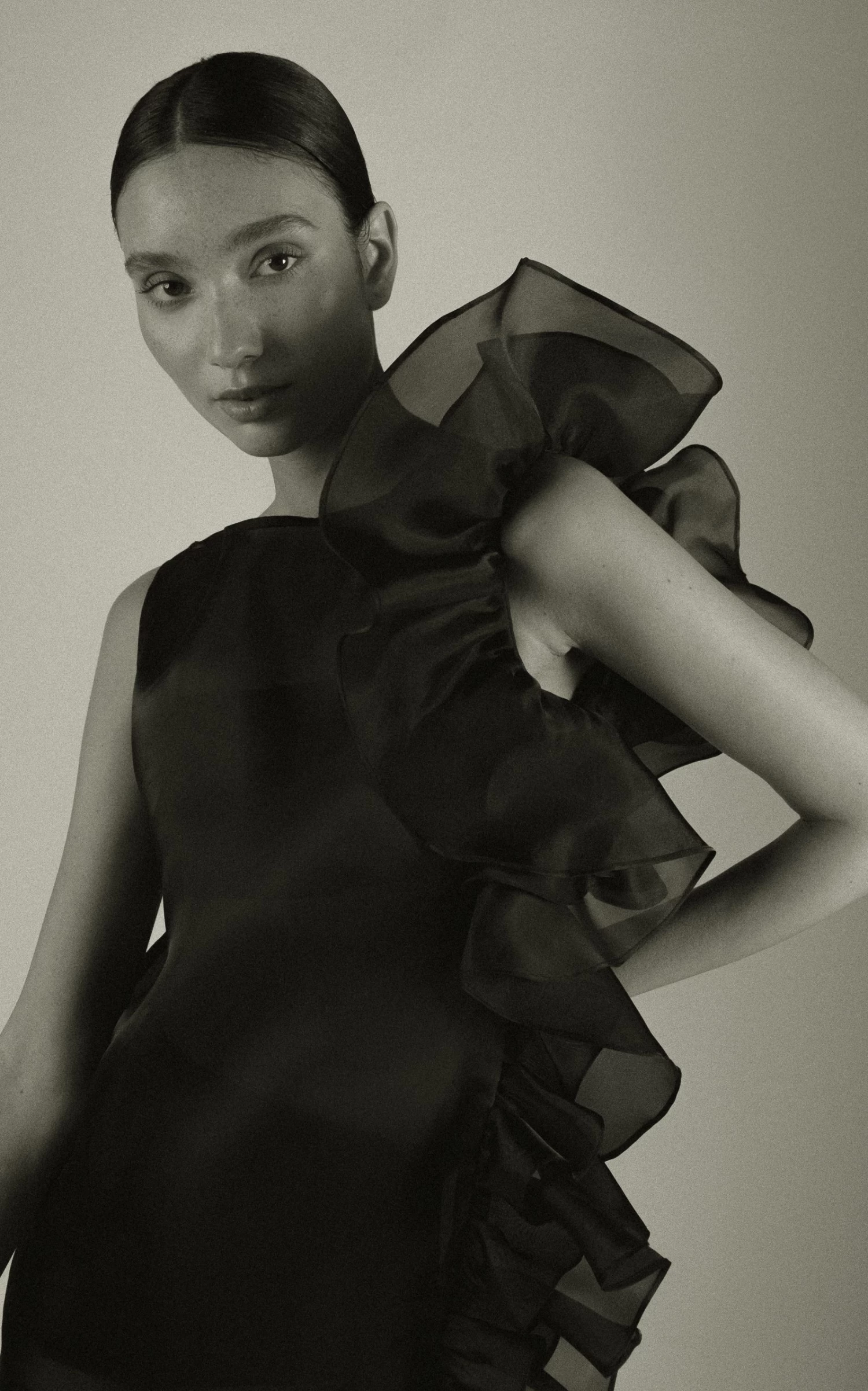 Bea Ruffled Sheer Dress 8 Bea Ruffled Sheer Dress - Image 6