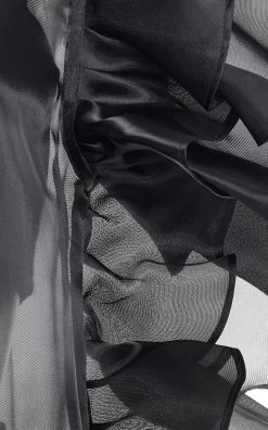 Bea Ruffled Sheer Dress 15 Bea Ruffled Sheer Dress -Lady Fashion Store marlies grace black bea ruffled sheer dress 2 6