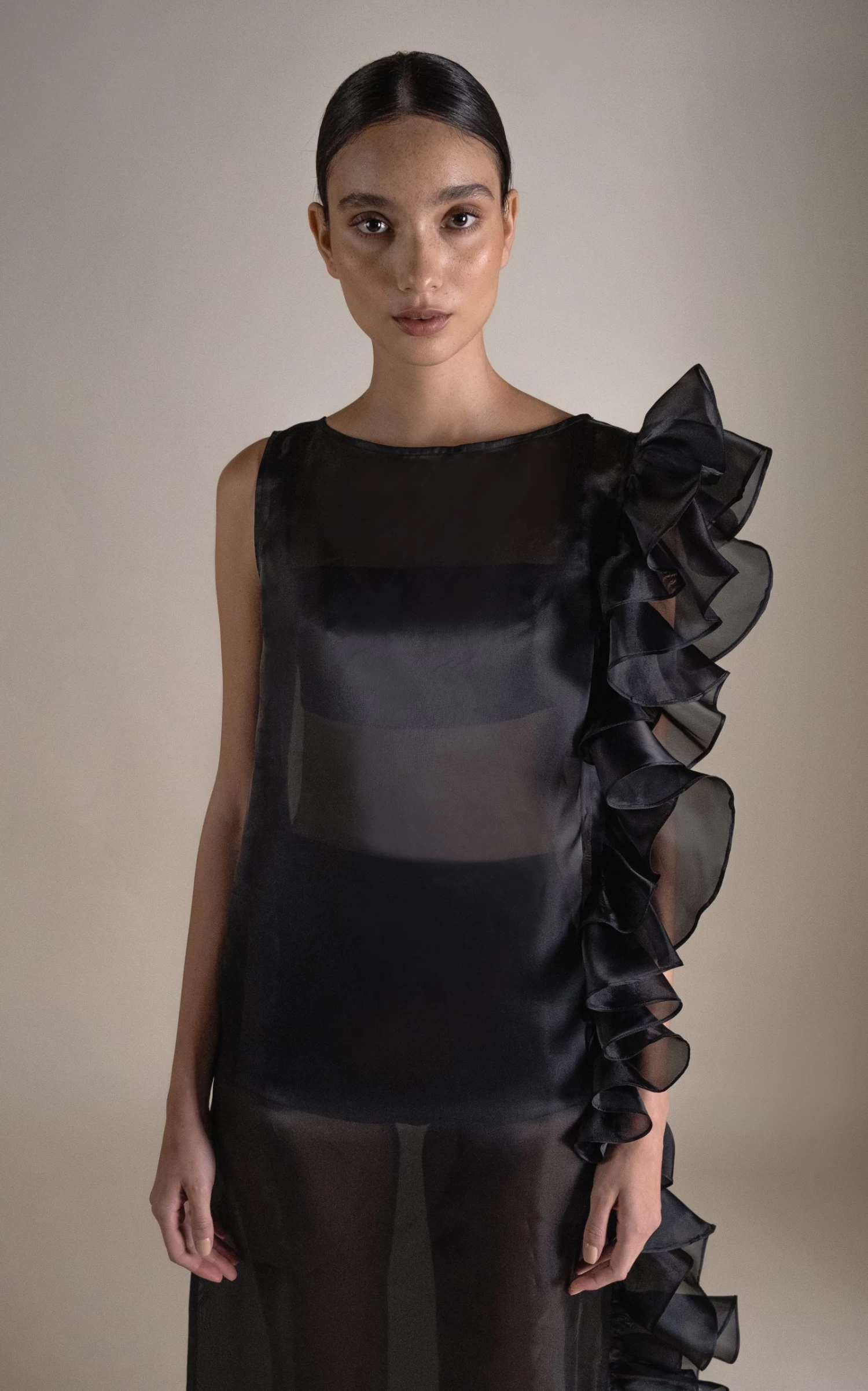 Bea Ruffled Sheer Dress 3 Bea Ruffled Sheer Dress