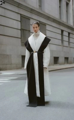 The Row Dodi Hooded Cashmere Scarf